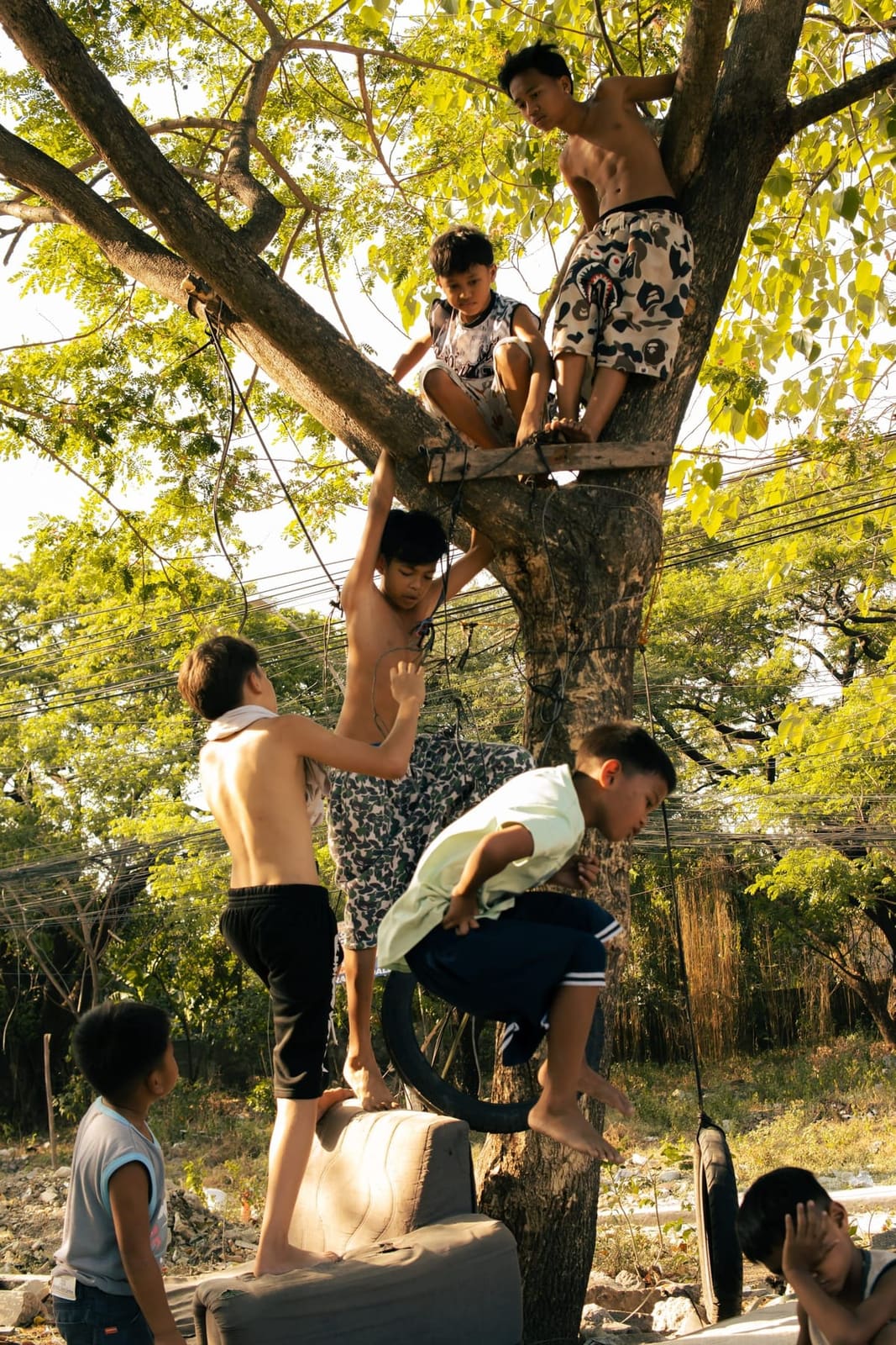 Boys climbing a tree together