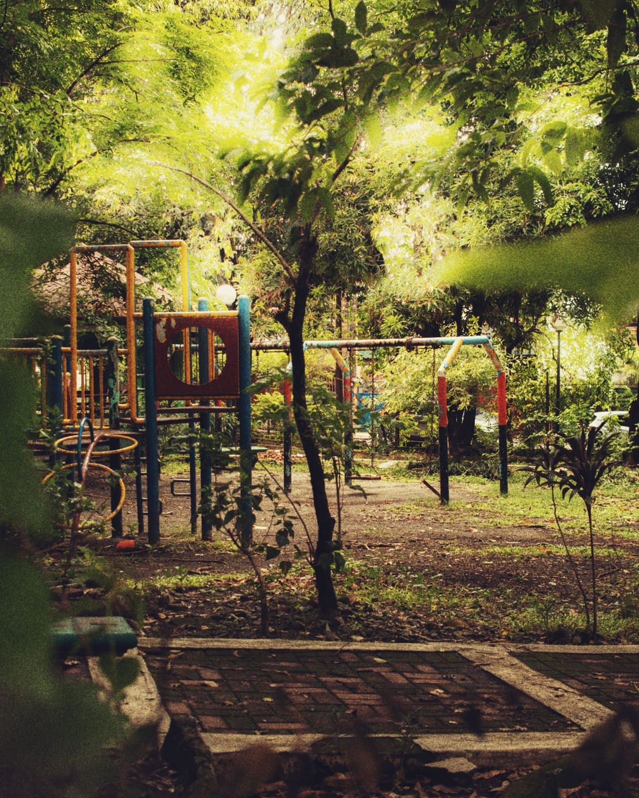 An overgrown playground seen through leaves