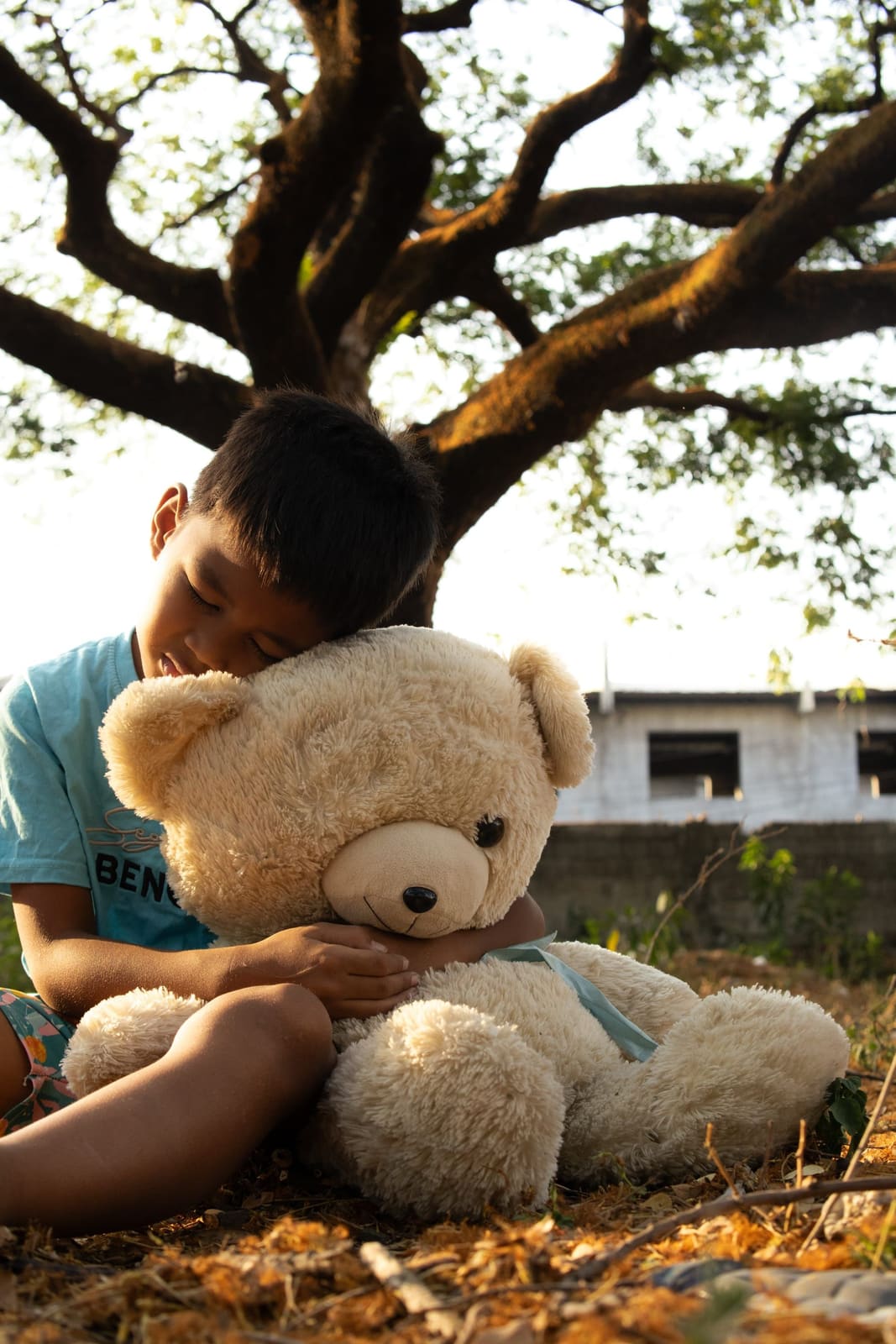 A boy resting with a teddy bear under golden light